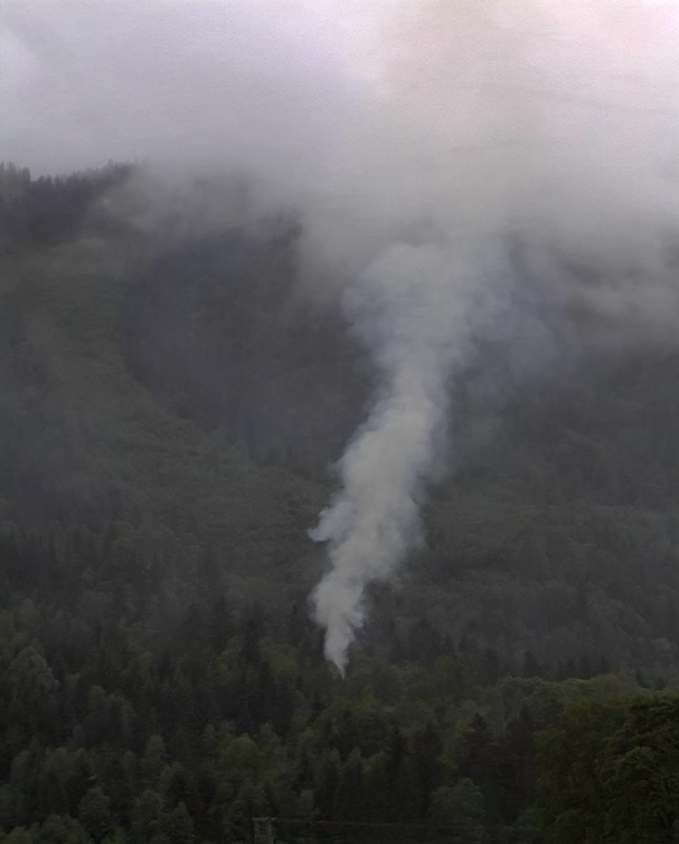 A still image capture from the video "Heart All This & Dogg", 2004, by Torbjorn Rodland